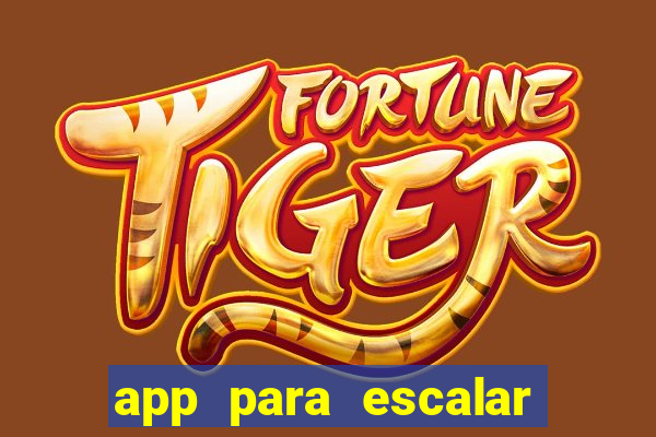 app para escalar time de futebol